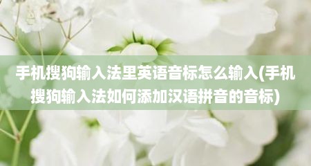 手机搜狗输入法里英语音标怎么输入(手机搜狗输入法如何添加汉语拼音的音标)