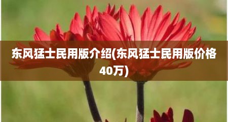 东风猛士民用版介绍(东风猛士民用版价格40万)