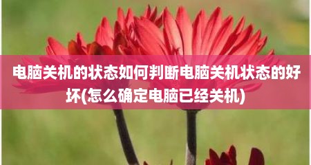 电脑关机的状态如何判断电脑关机状态的好坏(怎么确定电脑已经关机)
