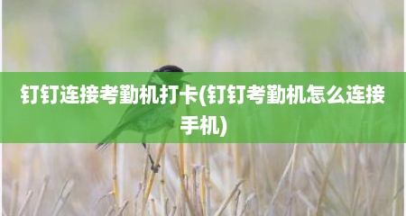 钉钉连接考勤机打卡(钉钉考勤机怎么连接手机)