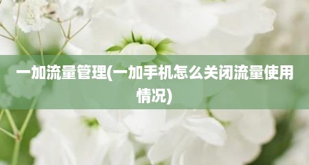 一加流量管理(一加手机怎么关闭流量使用情况)