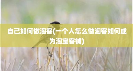 自己如何做淘客(一个人怎么做淘客如何成为淘宝客铺)