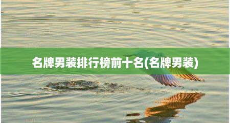 名牌男装排行榜前十名(名牌男装)