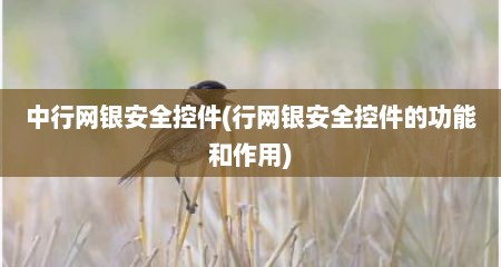 中行网银安全控件(行网银安全控件的功能和作用)