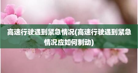高速行驶遇到紧急情况(高速行驶遇到紧急情况应如何制动)