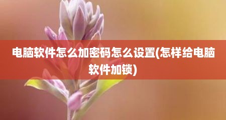 电脑软件怎么加密码怎么设置(怎样给电脑软件加锁)