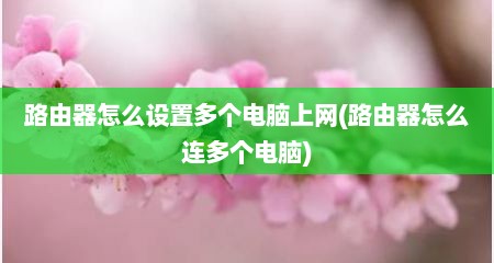 路由器怎么设置多个电脑上网(路由器怎么连多个电脑)