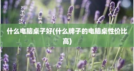 什么电脑桌子好(什么牌子的电脑桌性价比高)