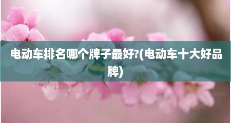 电动车排名哪个牌子最好?(电动车十大好品牌)