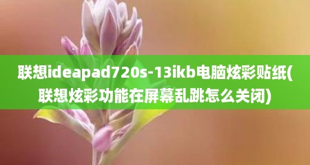 联想ideapad720s-13ikb电脑炫彩贴纸(联想炫彩功能在屏幕乱跳怎么关闭)