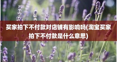 买家拍下不付款对店铺有影响吗(淘宝买家拍下不付款是什么意思)