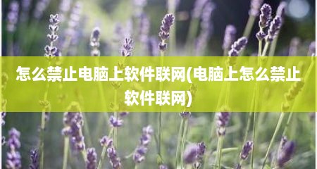 怎么禁止电脑上软件联网(电脑上怎么禁止软件联网)