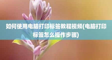 如何使用电脑打印标签教程视频(电脑打印标签怎么操作步骤)