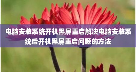 电脑安装系统开机黑屏重启解决电脑安装系统后开机黑屏重启问题的方法