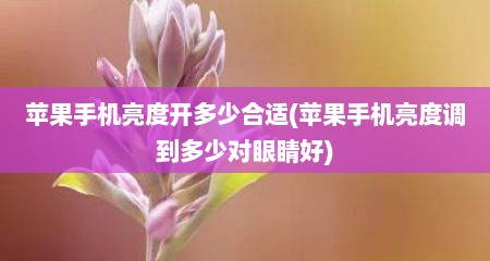苹果手机亮度开多少合适(苹果手机亮度调到多少对眼睛好)