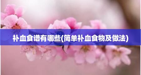 补血食谱有哪些(简单补血食物及做法)