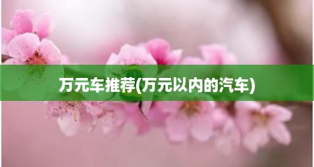 万元车推荐(万元以内的汽车)
