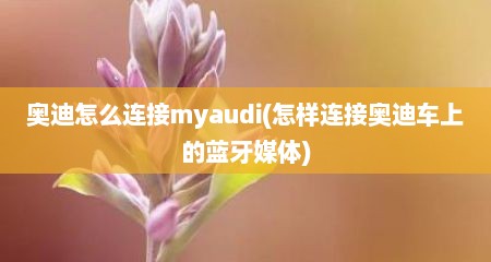 奥迪怎么连接myaudi(怎样连接奥迪车上的蓝牙媒体)