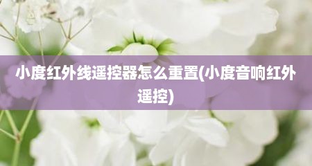 小度红外线遥控器怎么重置(小度音响红外遥控)