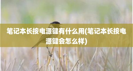 笔记本长按电源键有什么用(笔记本长按电源键会怎么样)