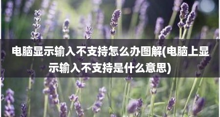 电脑显示输入不支持怎么办图解(电脑上显示输入不支持是什么意思)