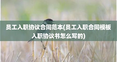 员工入职协议合同范本(员工入职合同模板入职协议书怎么写的)