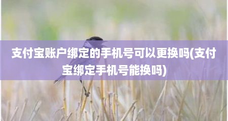 支付宝账户绑定的手机号可以更换吗(支付宝绑定手机号能换吗)