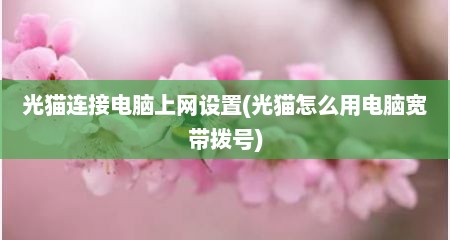 光猫连接电脑上网设置(光猫怎么用电脑宽带拨号)