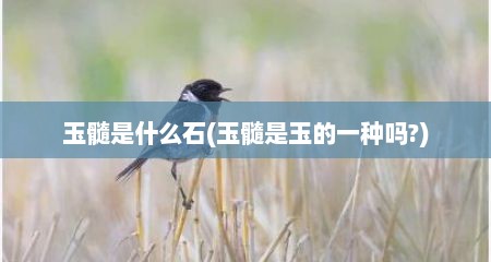 玉髓是什么石(玉髓是玉的一种吗?)