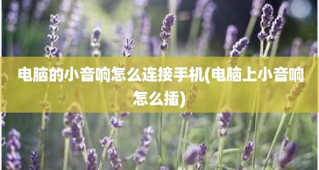 电脑的小音响怎么连接手机(电脑上小音响怎么插)