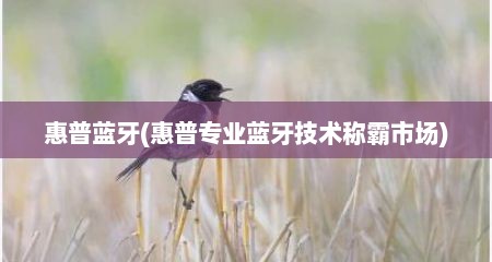 惠普蓝牙(惠普专业蓝牙技术称霸市场)