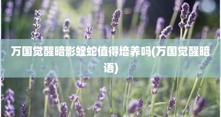 万国觉醒暗影蝰蛇值得培养吗(万国觉醒暗语)