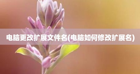 电脑更改扩展文件名(电脑如何修改扩展名)