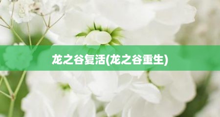 龙之谷复活(龙之谷重生)