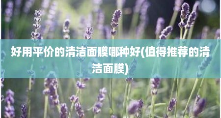 好用平价的清洁面膜哪种好(值得推荐的清洁面膜)