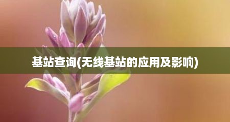 基站查询(无线基站的应用及影响)