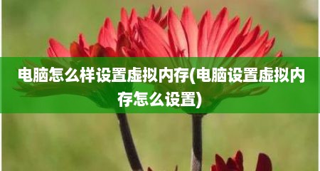 电脑怎么样设置虚拟内存(电脑设置虚拟内存怎么设置)