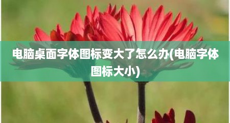 电脑桌面字体图标变大了怎么办(电脑字体图标大小)