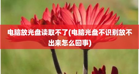 电脑放光盘读取不了(电脑光盘不识别放不出来怎么回事)