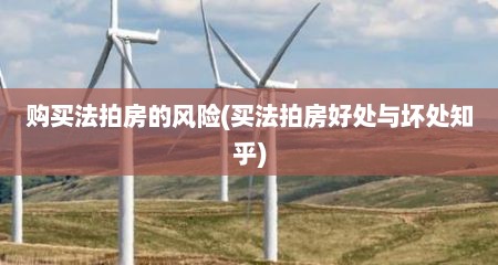 购买法拍房的风险(买法拍房好处与坏处知乎)