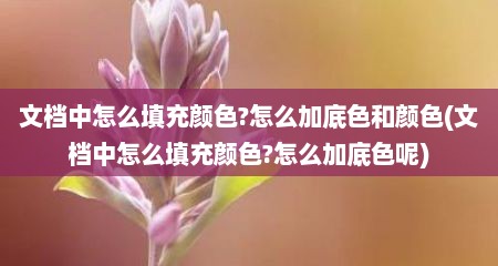 文档中怎么填充颜色?怎么加底色和颜色(文档中怎么填充颜色?怎么加底色呢)