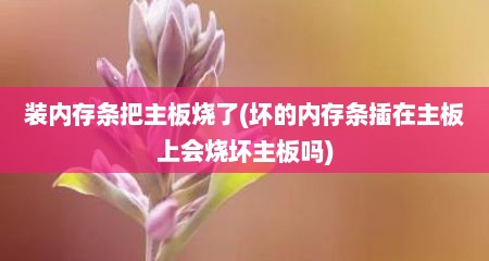 装内存条把主板烧了(坏的内存条插在主板上会烧坏主板吗)