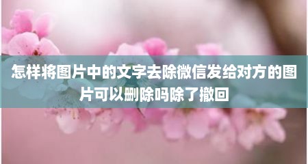 怎样将图片中的文字去除微信发给对方的图片可以删除吗除了撤回