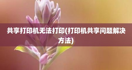 共享打印机无法打印(打印机共享问题解决方法)