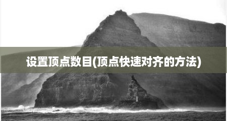 设置顶点数目(顶点快速对齐的方法)