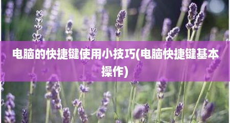 电脑的快捷键使用小技巧(电脑快捷键基本操作)