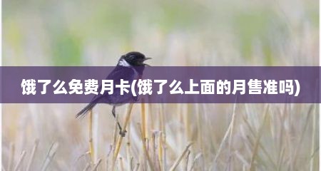 饿了么免费月卡(饿了么上面的月售准吗)