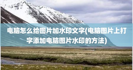 电脑怎么给图片加水印文字(电脑图片上打字添加电脑图片水印的方法)