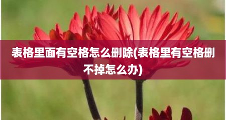 表格里面有空格怎么删除(表格里有空格删不掉怎么办)