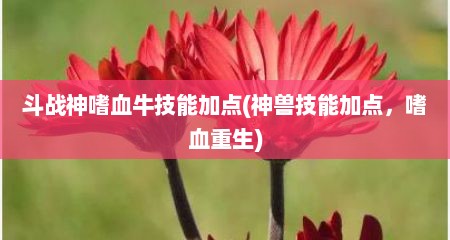 斗战神嗜血牛技能加点(神兽技能加点，嗜血重生)